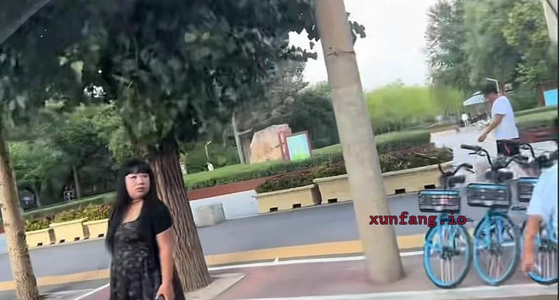 沈阳市 劳动公园西大墙站街 现场图 2