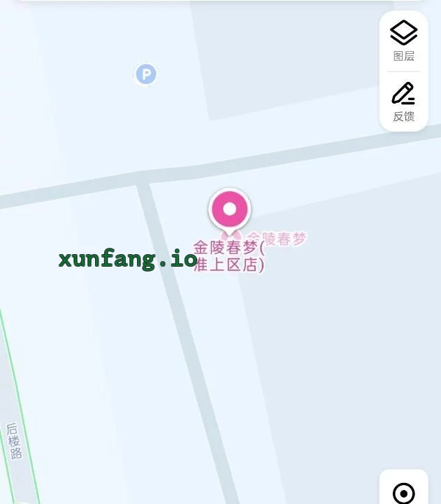蚌埠市 小店站街金陵春梦对面6个熟女 现场图 2