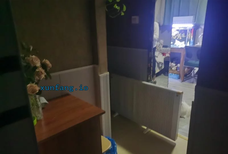 津南区 咸水红旗路手推单人技师 现场图 1