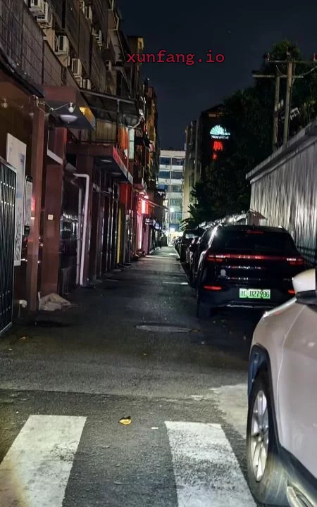温州市 乐清市 乐清棕榈泉旁小巷子七八个妹子 现场图 1