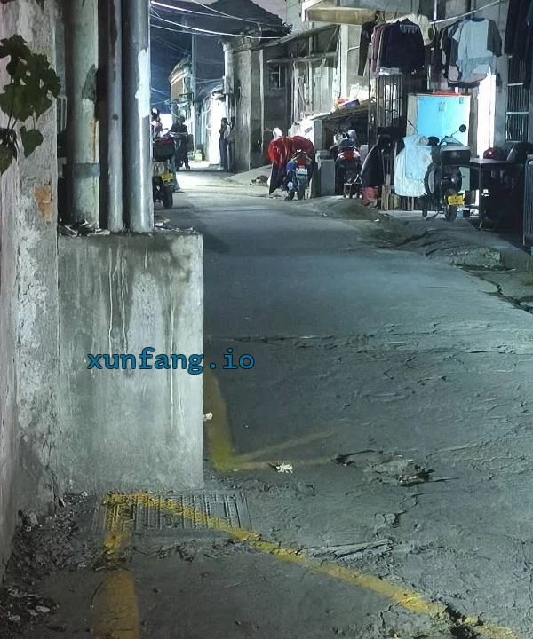 宁波市 洪塘电动车街后少妇站街 现场图 1