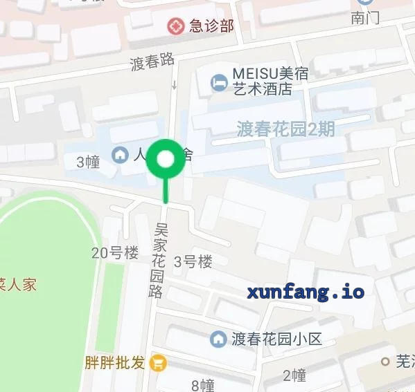 芜湖市 芜湖吴家花园路边站街可谈价 现场图 1