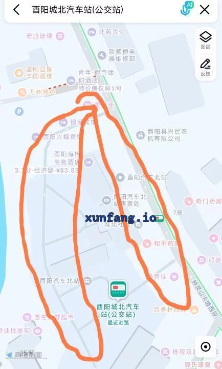 巴南区 酉阳汽车站附近站街白天活跃 现场图 2