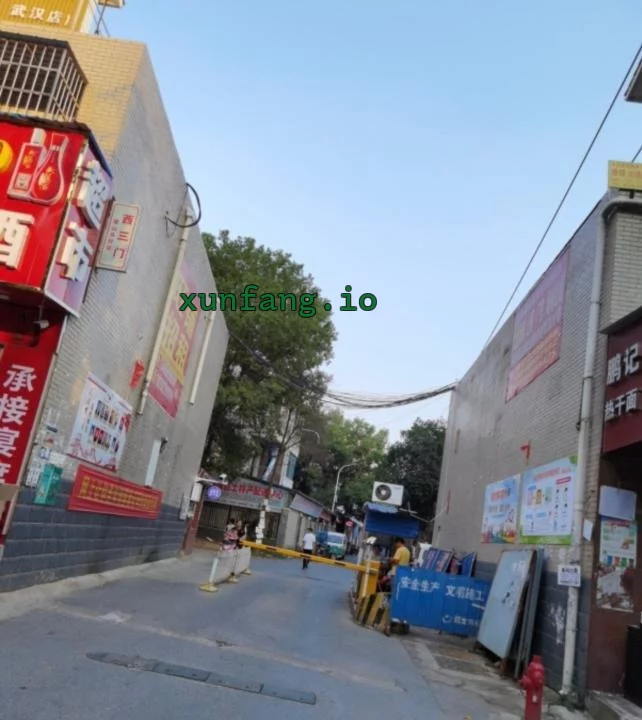 武汉市 江夏区 江夏光谷一路梁山头小巷站街有店面 现场图 1