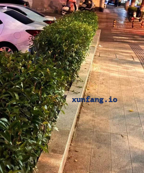 苏州市 虎丘区 虎丘何山路站街极品大雷 现场图 1