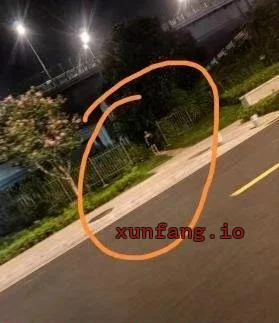 苏州市 姑苏区 姑苏区金星路附近桥下野战少妇 现场图 1