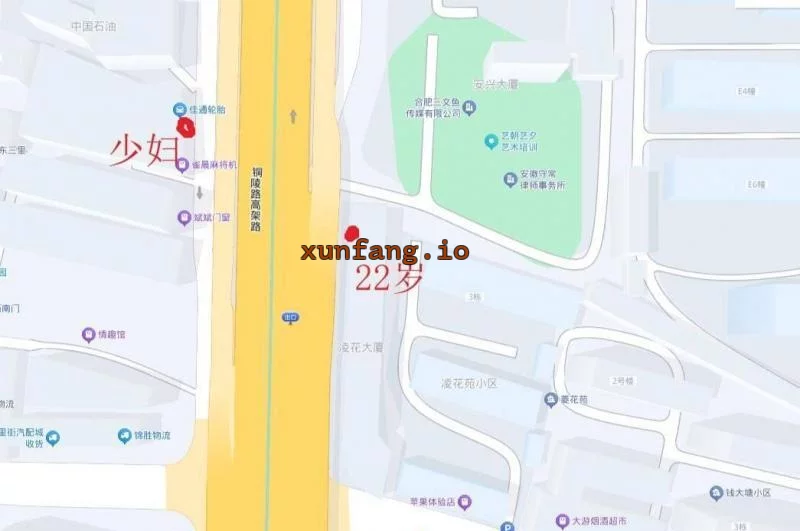 合肥市 蜀山区 蜀山区凤阳东路交口路边年轻妹子 现场图 1