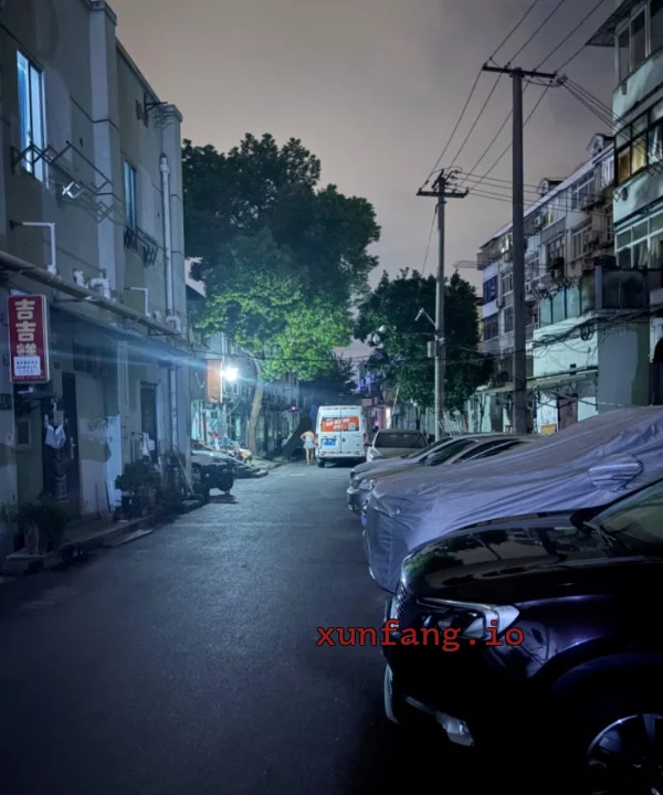 闵行区 闵行北桥地铁站附近小巷站街低价 现场图 1