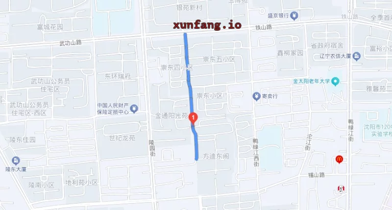 沈阳市 皇姑区 皇姑铁山路暗巷足疗店聚集嫩妹多 现场图 3