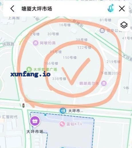 东莞市 塘厦站街嫩货多 现场图 1