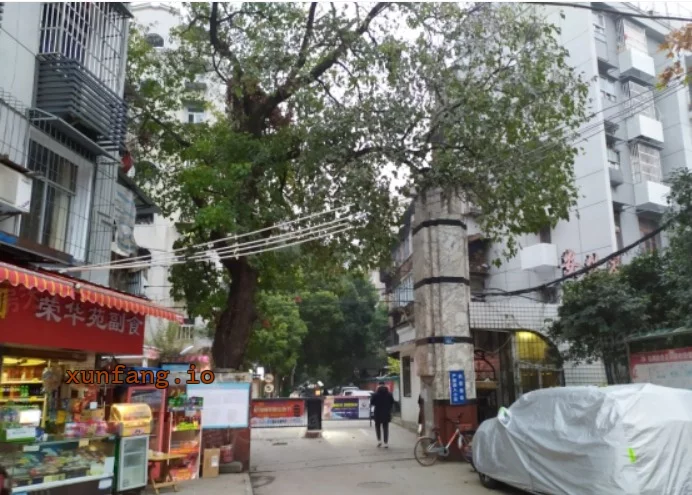 武汉市 武胜路荣华二街商行高质200平 现场图 1