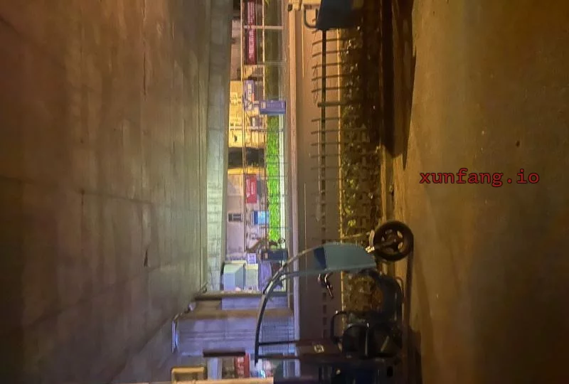 合肥市 蜀山区 蜀山区铜陵路凤阳东路交口路边嫩妹 现场图 3