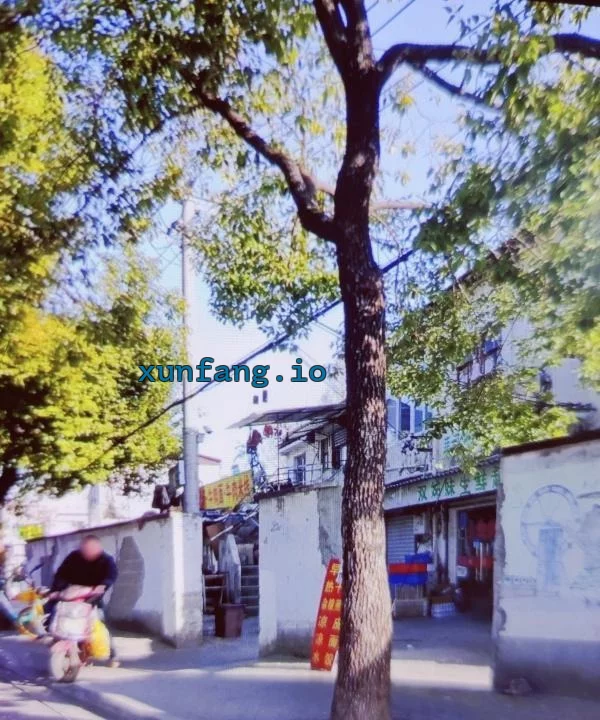 闵行区 梅陇附近民房站街年轻妹子 现场图 2