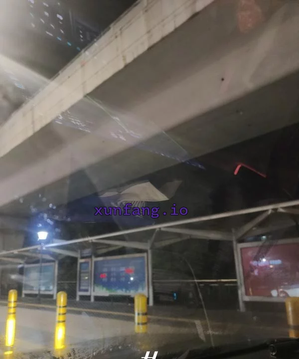 深圳市 布吉东站附近天桥站街人多 现场图 1