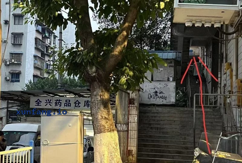 南岸区 南岸南坪商行质量第一梯队 现场图 2