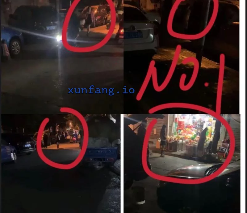 合肥市 瑶海区 瑶海长江东大街站街少妇多 现场图 3