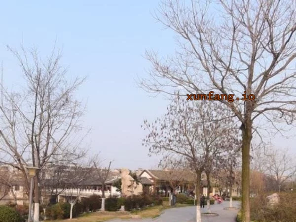 徐州市 云龙区 云龙古黄河公园站街多名水多 现场图 1