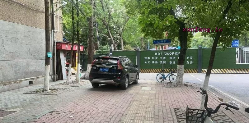武汉市 青山路附近发廊妹子多 现场图 1