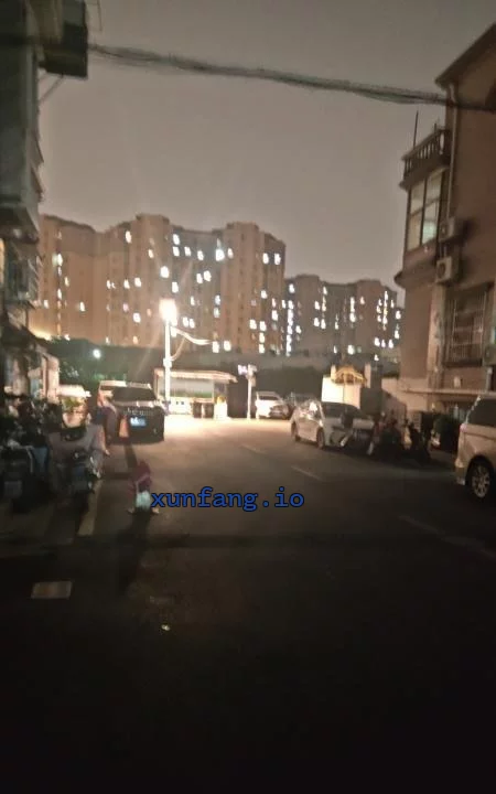 闵行区 闵行关帝庙附近街边站街 现场图 3