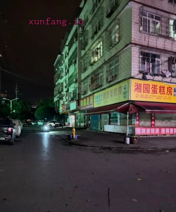 长沙市 雨花区 雨花洞井商贸城巷子站街便宜 现场图 2