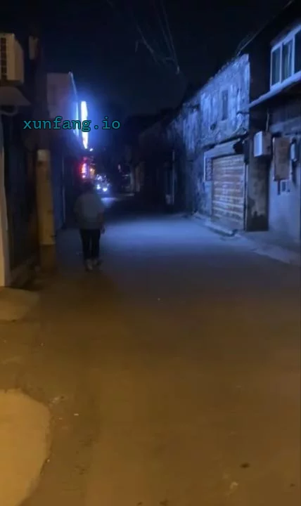 宁波市 慈城古镇小巷站街价格实惠 现场图 1