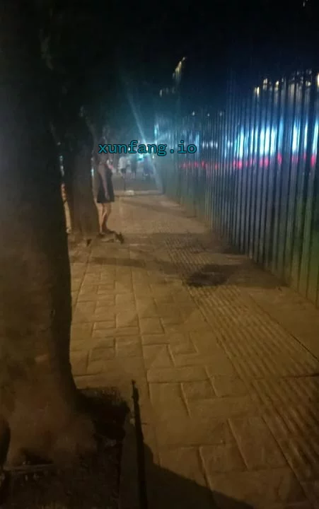 成都市 龙泉驿区 龙泉驿惠王陵东路站街年轻资源多 现场图 1