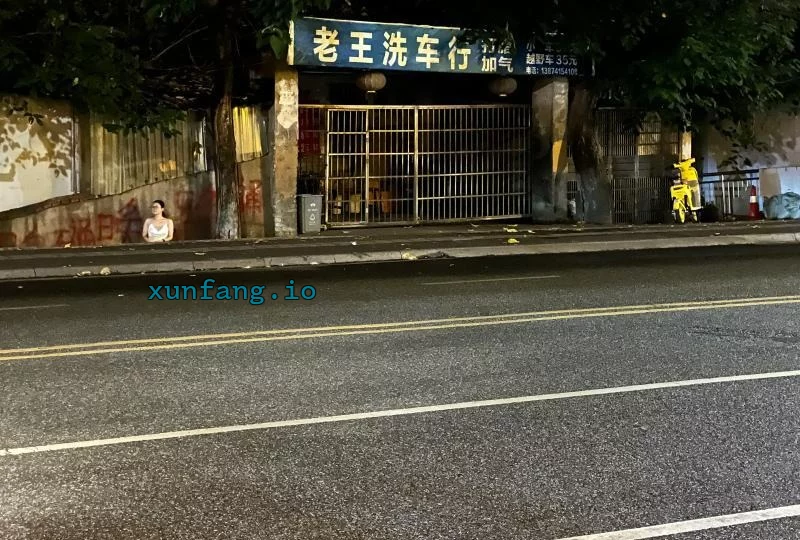 株洲市 天元区 天元附近晚场站街多人 现场图 3
