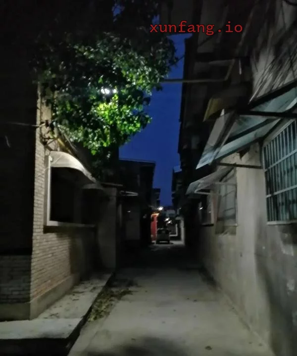 赣州市 信丰县 信丰小巷晚场站街便宜 现场图 1
