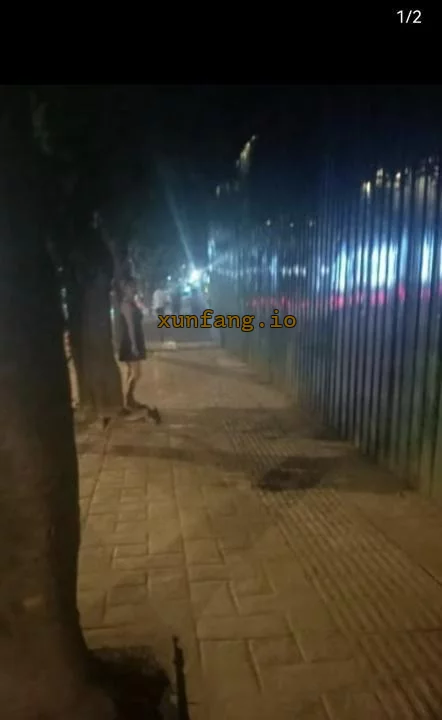 成都市 惠王陵东路这边巷子 现场图 1