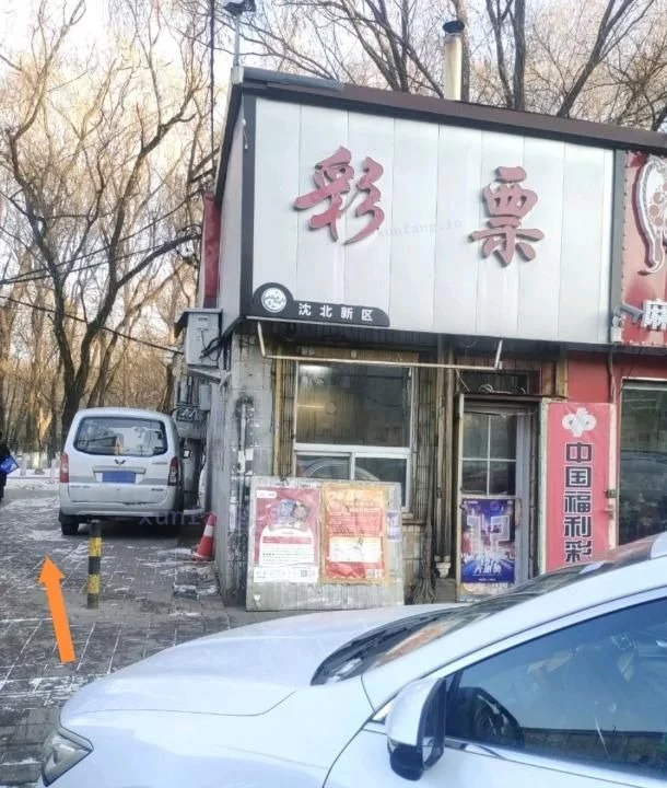 沈阳市 沈北公园里面 现场图 2