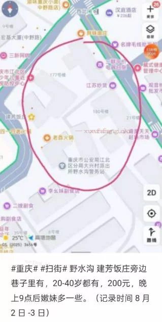 两江新区 高德野水沟江苏炒货 现场图 1