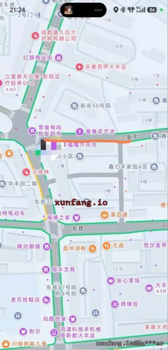 成都市 新都区 大丰新街与东巷交汇处附近 现场图 2