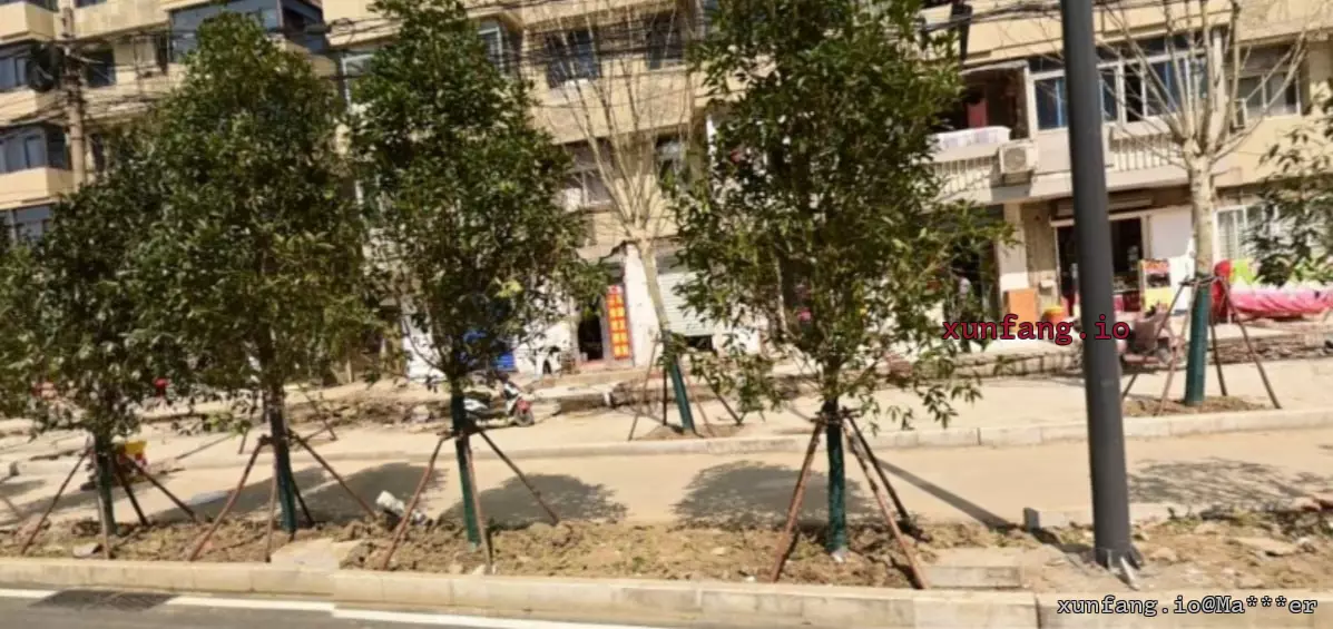 合肥市 瑶海区 合浦南村西边约 50 米处，无门头小店 现场图 1