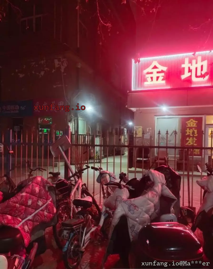 大兴区 旧宫镇附近巷弄 现场图 3