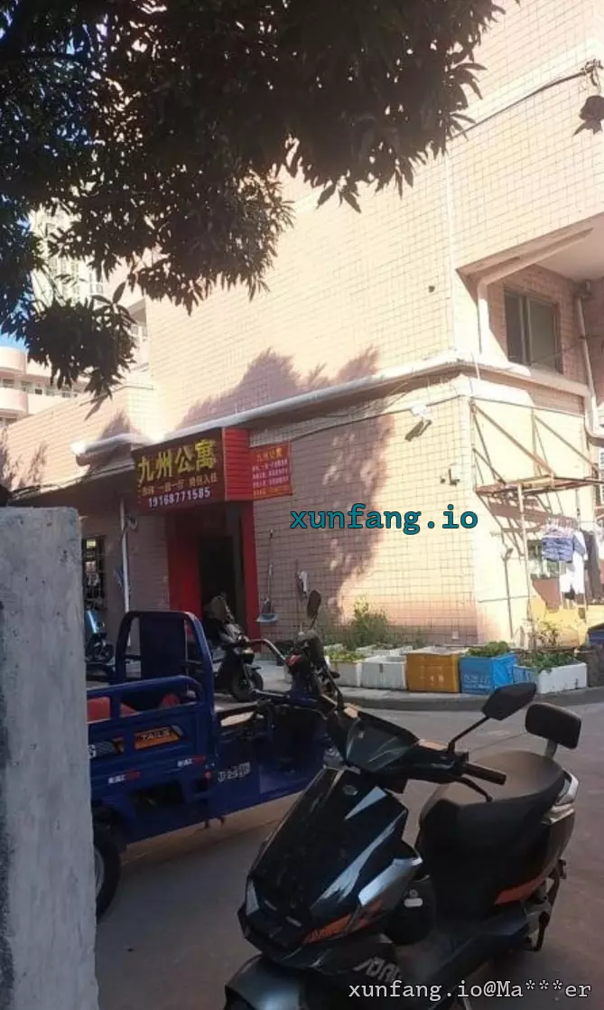 深圳市 龙岗区 双龙东三村巷内 现场图 1