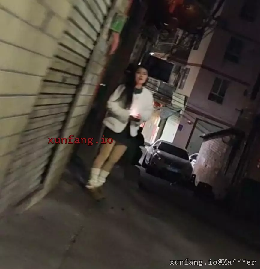 南宁市 兴宁区 望州路沿线 现场图 2