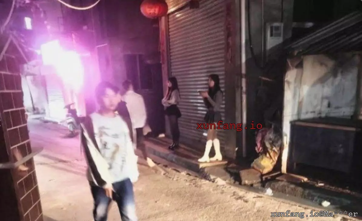 惠州市 惠东县 隆城花园D区南巷子附近 现场图 2