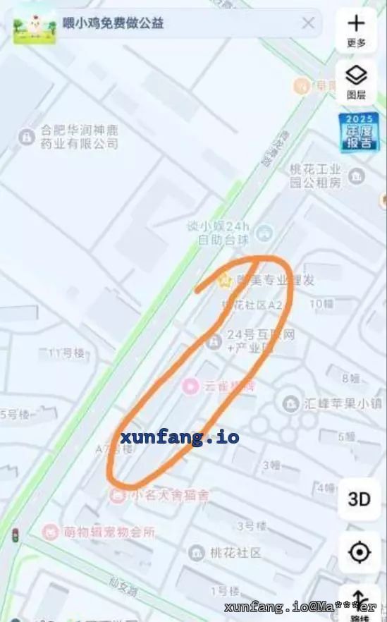 合肥市 肥西县 青龙潭路（第二排，近桃花社区 A2） 现场图 1