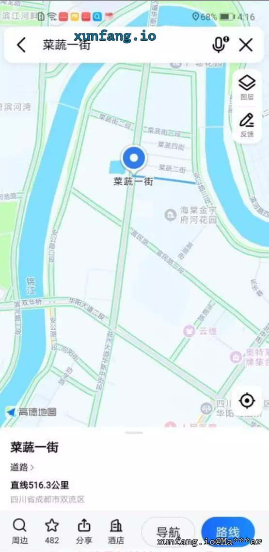 成都市 双流区 华阳菜蔬街（一街、二街、三街、四街连片区域） 现场图 2