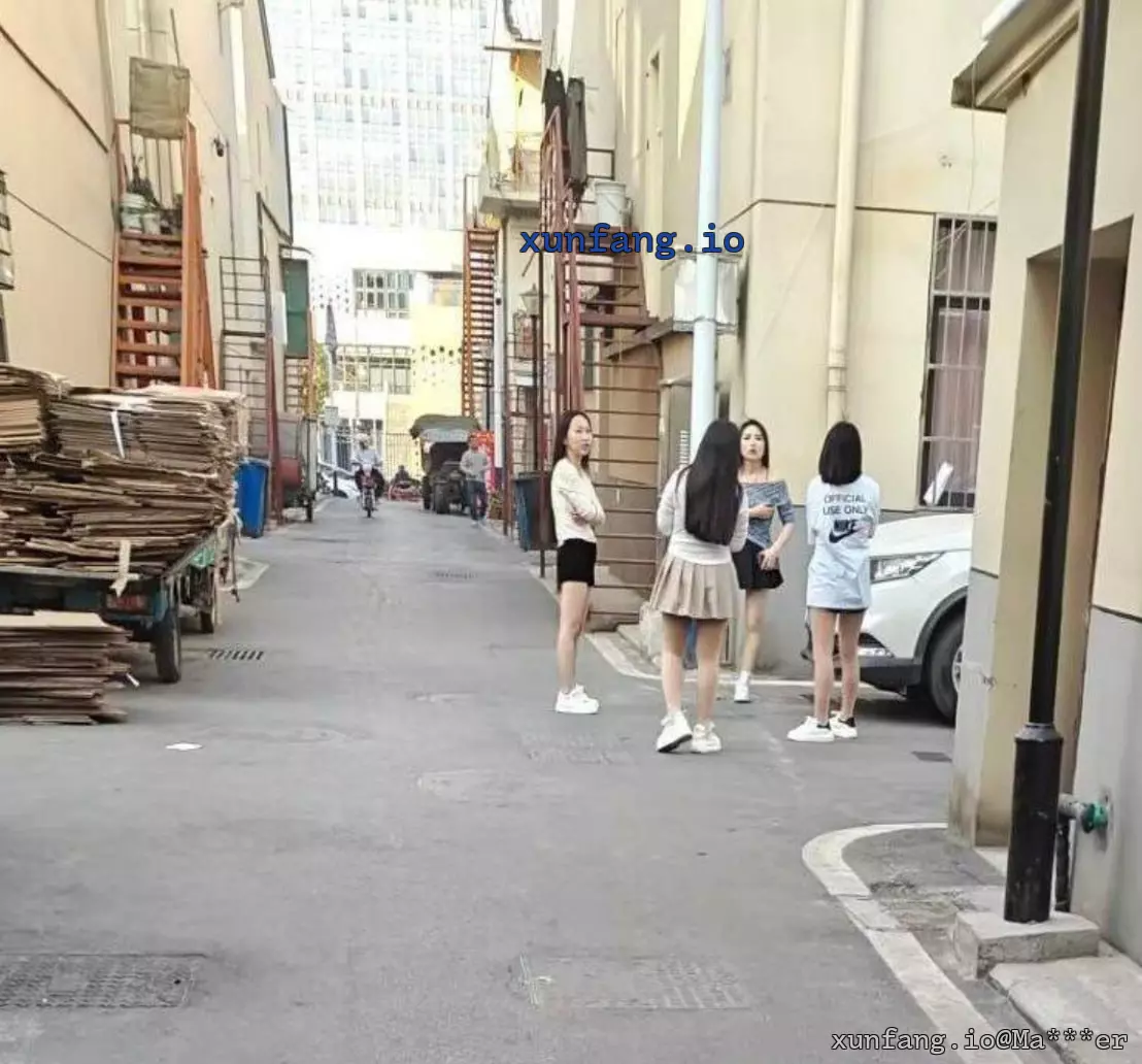 合肥市 肥西县 二十埠菜市场周边 现场图 1