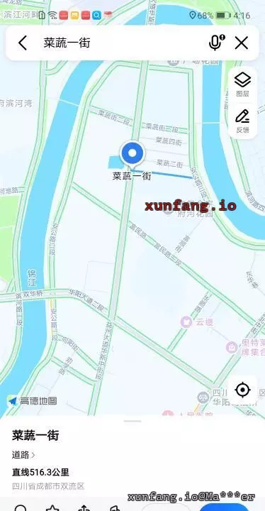 成都市 双流区 华阳神龙一条街 现场图 2