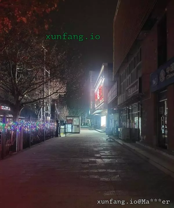 大兴区 旧宫站街 现场图 2