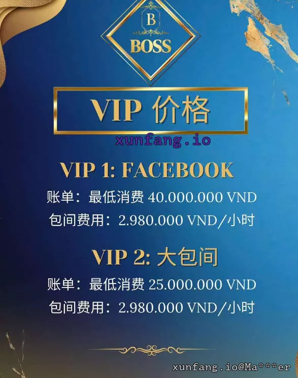 胡志明市 BOSS KTV 店铺实拍图 3