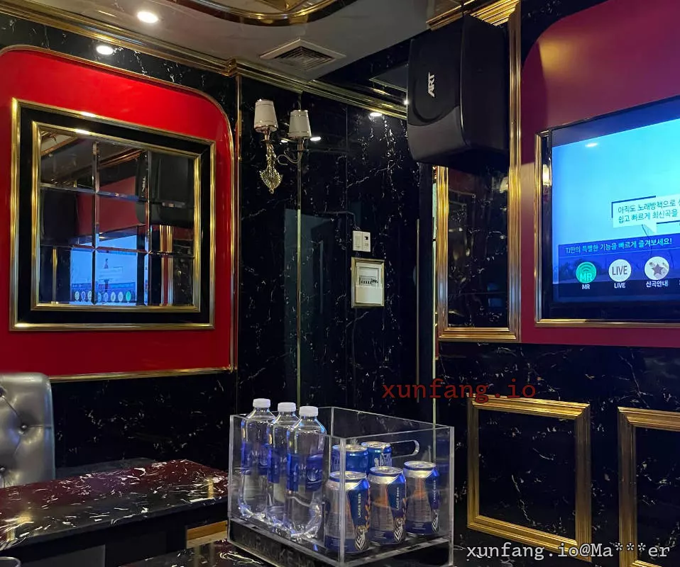 胡志明市 No.1 가라오케 (No.1 KTV) 店铺实拍图 1