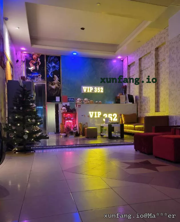 胡志明市 Massage Vip 352 (Massage Harley 352 / 新富352暗黑水疗) 店铺实拍图 2