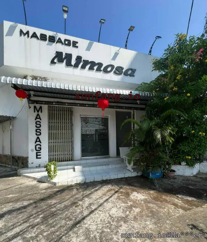 迪石 Trung Tâm Massage Mimosa (Mimosa 水疗按摩中心) 店铺实拍图 1