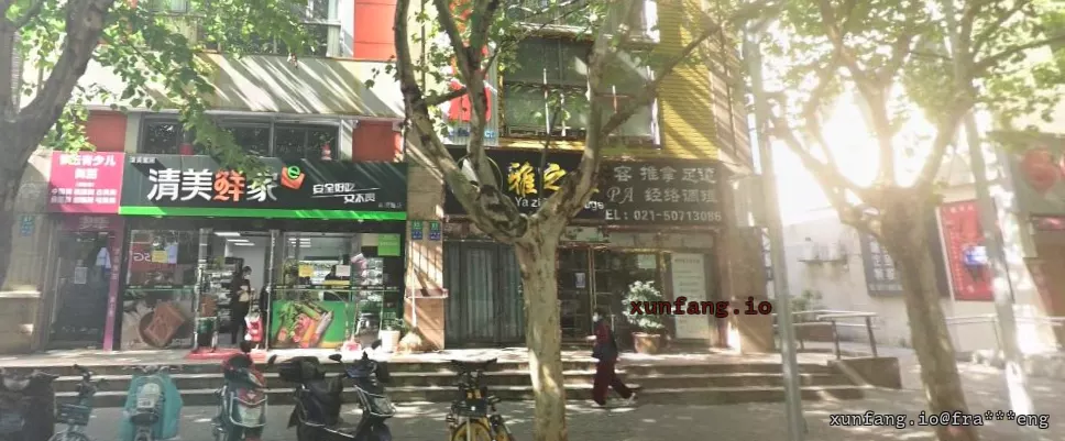 浦东新区 浦东大道苗圃路 现场图 1