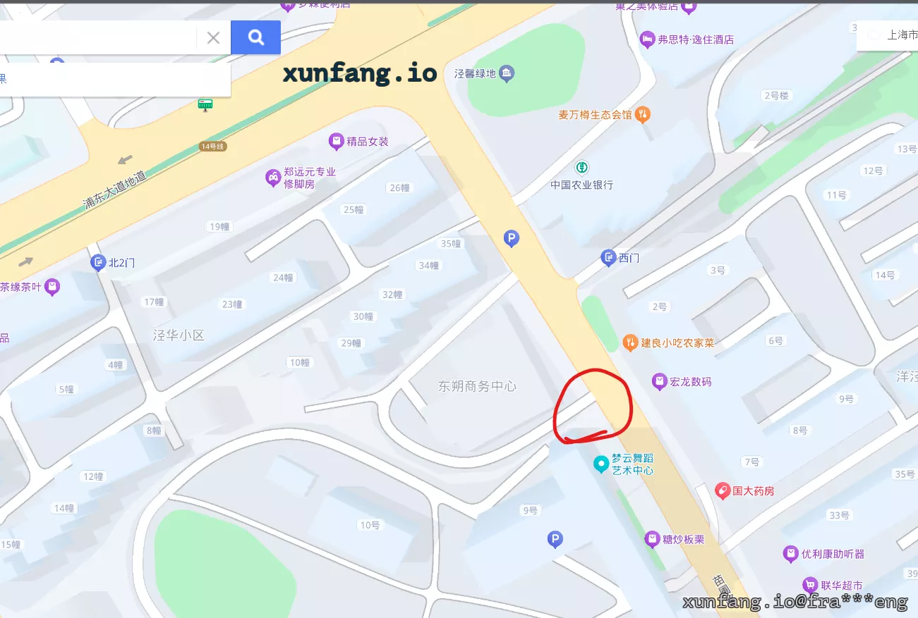 浦东新区 浦东大道苗圃路 现场图 2